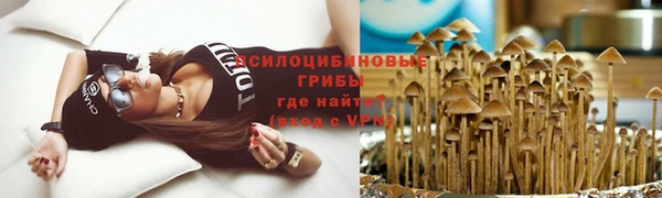 спиды Верея