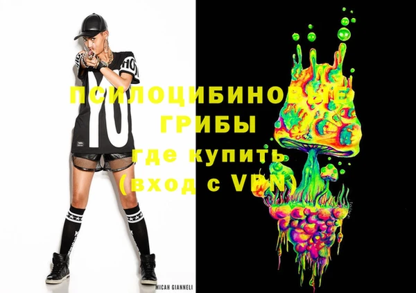 спиды Верея