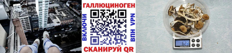 купить   дарк нет телеграм  Галлюциногенные грибы Psilocybe  Северобайкальск  omg рабочий сайт 